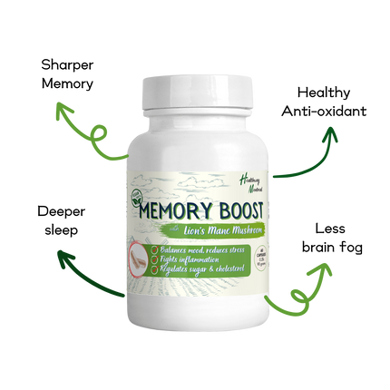 Memory Boost with lion's mane mushroom blend - Healthway Montreal